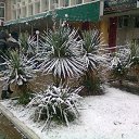 ������. ������ � �����. �� ������� �������