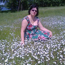 , 63, 