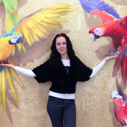 ���� ����, ������, 29 ��� - ��������� 6 ������� 2016