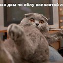 ���� ���������, ����������� - ��������� 22 ������� 2016 � ������ ���� ����������