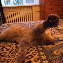 ��� �����. �� ������� �������