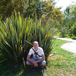 ������, ���������, 41 ���