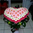 ���� ������, ������, 48 ��� - ��������� 31 ������ 2016 � ������ ������ ��������