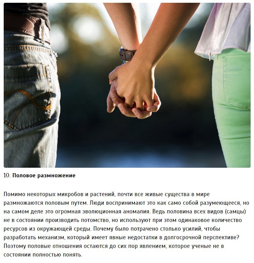 10   ,        .(Fact)  ... - 10