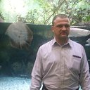 ���� �������, ������, 51 ��� - ��������� 20 ������ 2015 � ������ ����������� 11.11.15�