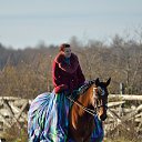 ���� �������, �����-���������, 48 ��� - ��������� 10 ������ 2015 � ������ ����� � ������