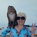 ���� ����, �������������-����������, 61 ��� - ��������� 10 ������� 2015 � ������ ���� ����������