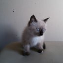 ���� �������, ���������� - ��������� 25 ������� 2015 � ������ ������ ��������