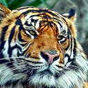 ���� �������, �����-���������, 46 ��� - ��������� 21 ������ 2015 � ������ ���� ����������