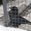 ���� ����, ����, 54 ���� - ��������� 2 ������� 2016 � ������ ���� ����������