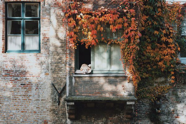 Brugge.   . - 4