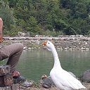 ���� ...Abuzer, ����, 54 ���� - ��������� 17 ������ 2016 � ������ ���������� ������