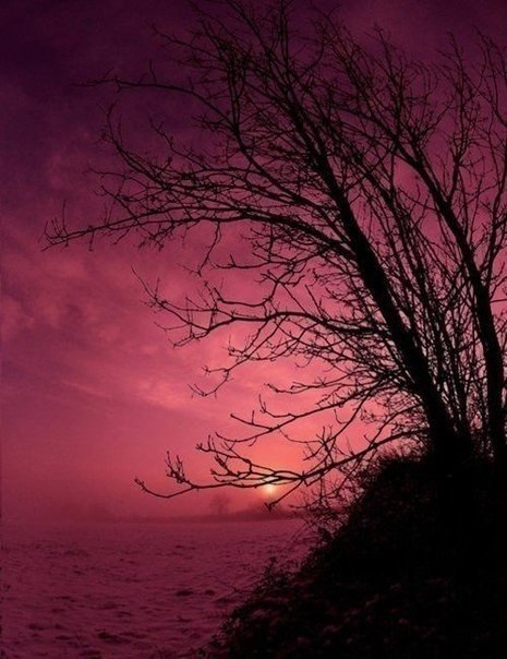 , ,  - 20  2015  03:45 - 5