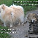 ���� �����!!������� ������, ������������ - ��������� 16 ������ 2015 � ������ ������ ��������