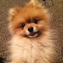 ���� �������, ������, 42 ���� - ��������� 13 ������ 2015 � ������ ������ ��������