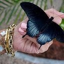 �� � ��������:))))) �� ������� ���� ����������