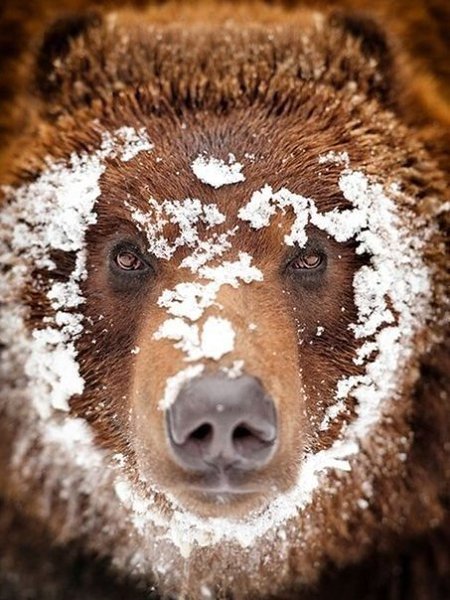�������� ���� �������� ������ �������.#animal@travel.blog - 3
