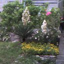 ���� �������, ��������� - ��������� 26 ������ 2016 � ������ ���� ����������