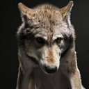 ���� ����, �������, 41 ��� - ��������� 20 ������� 2015 � ������ ���� ����������