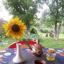 ���� �������, ��������������, 57 ��� - ��������� 17 ������� 2015 � ������ ���� ����������