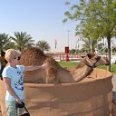 ���� ��������, ������, 59 ��� - ��������� 7 ������� 2016 � ������ ���� ����������