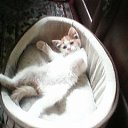 ���� �����, ����, 54 ���� - ��������� 21 ������� 2015 � ������ ������ ��������