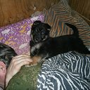  ,  -  3  2016        !!!