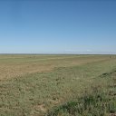  Storm, , 68  -  7  2015