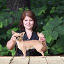 ���� ����, ������, 51 ��� - ��������� 23 ������ 2015