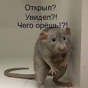 ���� ������, �������� - ��������� 7 ������� 2016 � ������ ���� ����������