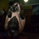 ���� �����, ����������, 41 ��� - ��������� 9 ������ 2016 � ������ ���� ����������