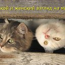 ���� �����, ����������� - ��������� 29 ������ 2016 � ������ ������ ��������
