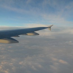 ������, �����������, 39 ���