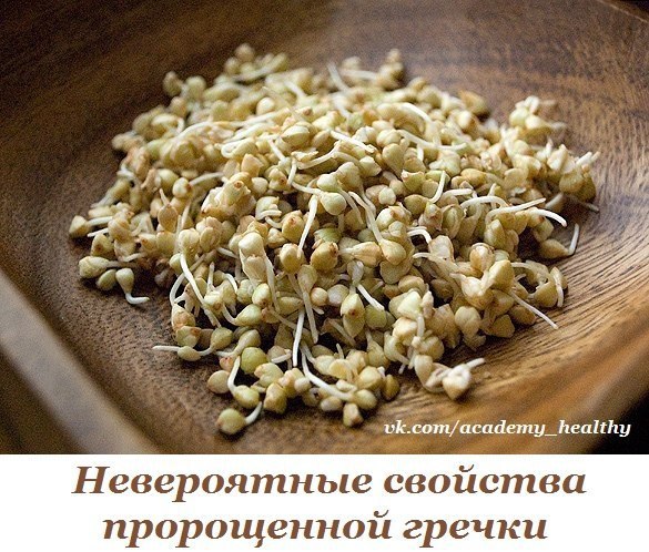 Вы до сих пор не проращиваете гречку? Тогда мы идем к вам! Чем полезны проростки? - поддерживают ...