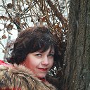 ���� ��������, ������-��-����, 46 ��� - ��������� 26 ������� 2015 � ������ ������ ��������