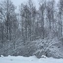 ���� ����, �����������, 42 ���� - ��������� 24 ������� 2016