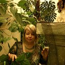 ���� ��������, �������� - ��������� 20 ������ 2015 � ������ ���� ��