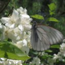 ���� ������, ������, 67 ��� - ��������� 27 �������� 2015 � ������ ������ ��������