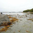 ���� ����, �����, 59 ��� - ��������� 17 ������ 2016 � ������ �����