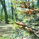 ���� ������, �����, 52 ���� - ��������� 6 ������� 2015 � ������ �������