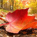 ���� �����, ������������ - ��������� 3 ������ 2015 � ������ ������ ��������