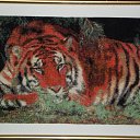 ���� �������, �����, 60 ��� - ��������� 11 ������ 2016 � ������ ���� ��������