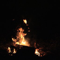 ���� �����, ����� - ��������� 31 ������� 2015