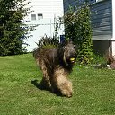 ���� ������ ������, ������, 62 ���� - ��������� 12 ������ 2016 � ������ ���� ����������