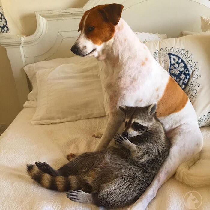           -,    .   ... - 3