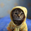 ���� ˸��, ������, 43 ���� - ��������� 3 ������ 2016