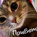 ���� ���������, ������ - ��������� 27 ������� 2015