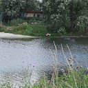 ���� Elenka999, �������, 56 ��� - ��������� 28 ������ 2016 � ������ ���� ����������