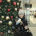 ���� ����������, ������ - ��������� 28 ������ 2016 � ������ ���� ����������