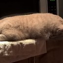 ���� �����, �������� ����, 57 ��� - ��������� 14 ������ 2015 � ������ ���� ����������